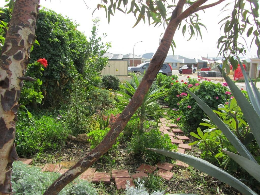 29 Bagley Crescent, MOUNT TARCOOLA WA 6530, Mount Tarcoola - Thumbnail 3