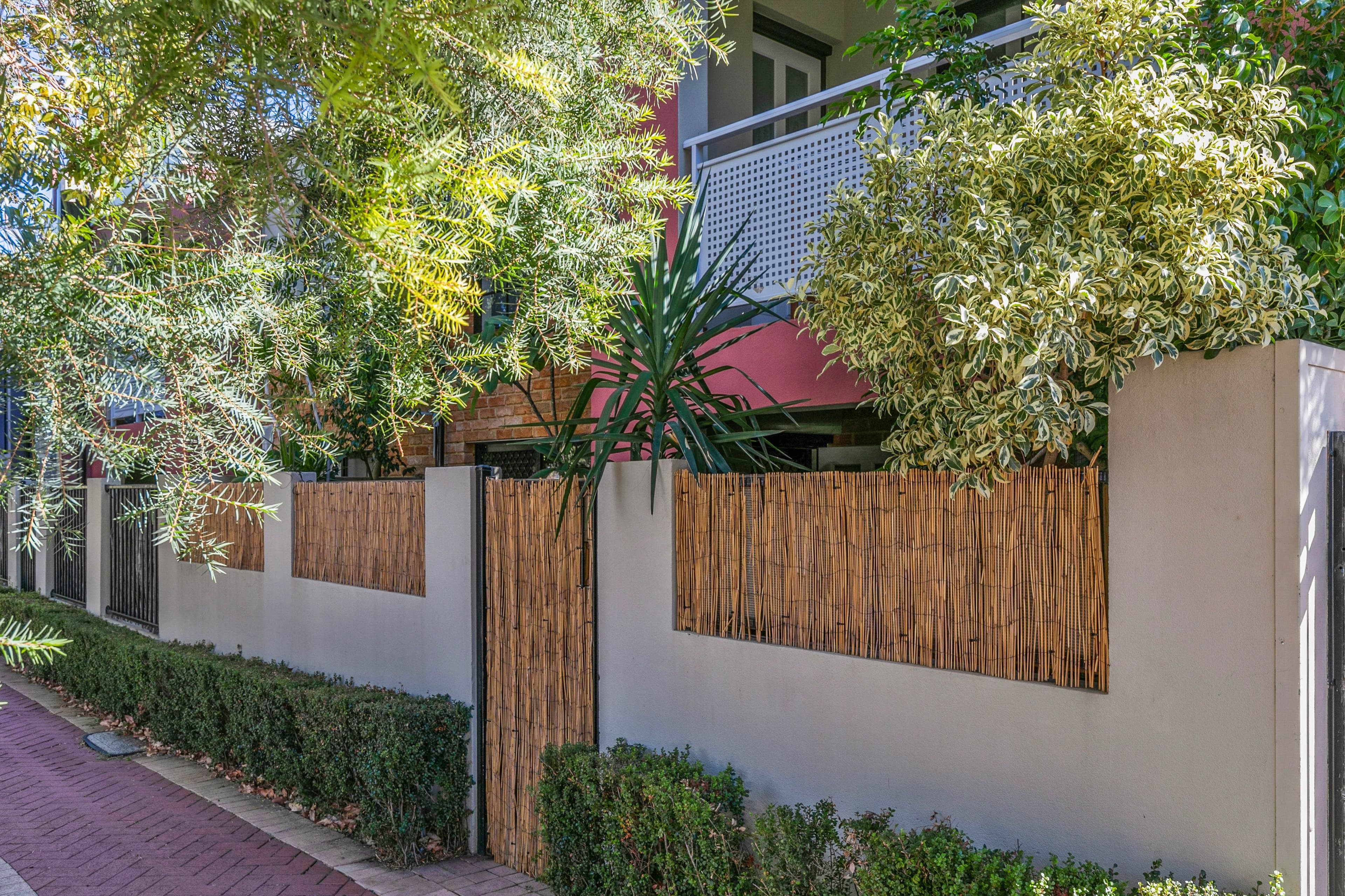 8 Kadina Street, North Perth WA 6006, North Perth - Thumbnail 3