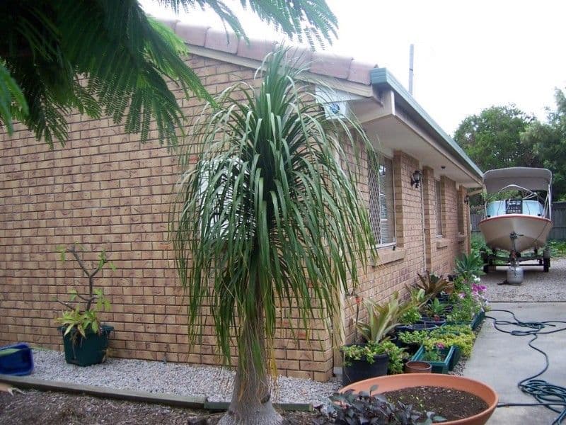 7 Samantha Court, DECEPTION BAY QLD 4508, Deception Bay - Thumbnail 2