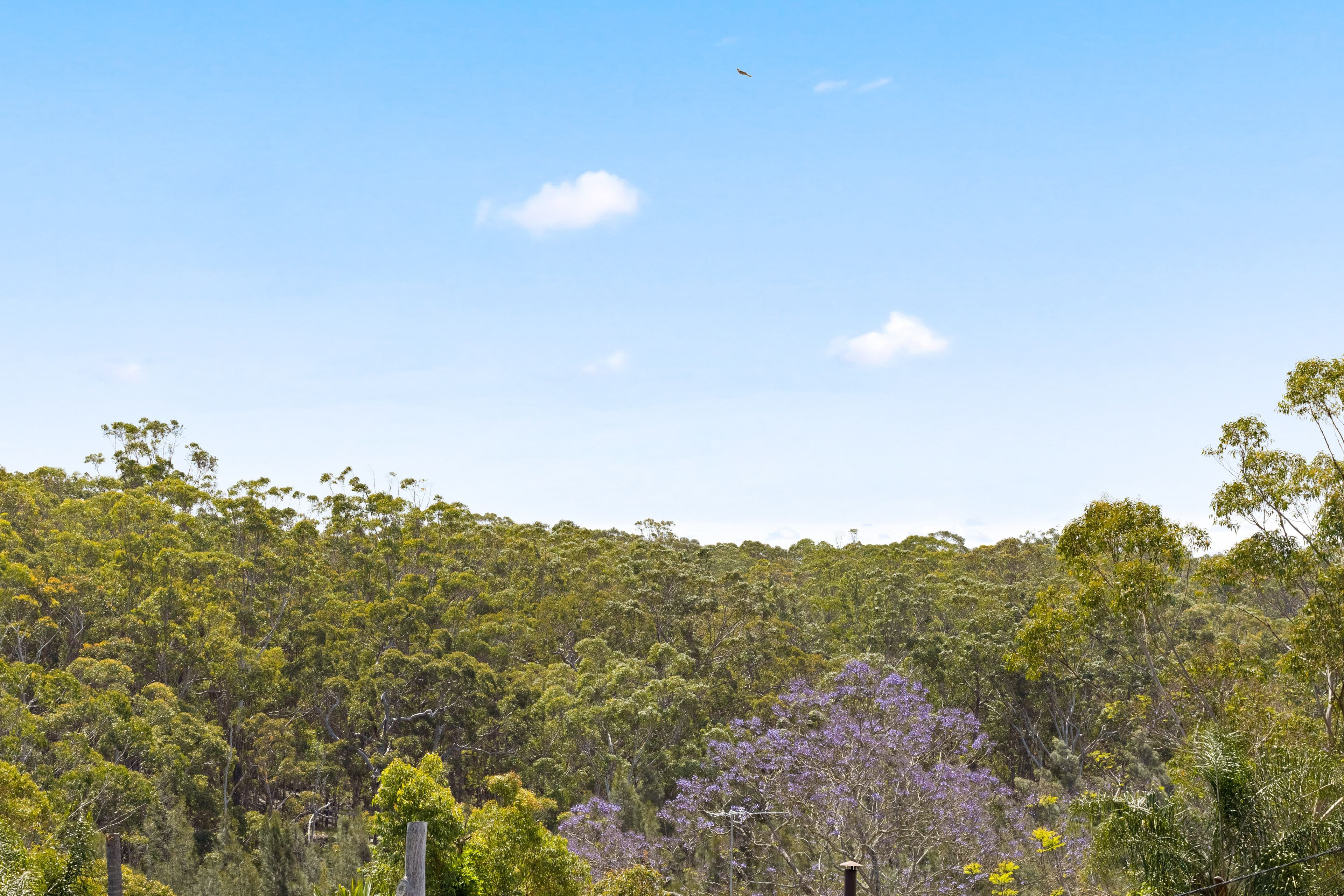 22 Bingara Drive, Sandy Point NSW 2172, Sandy Point - Thumbnail 8