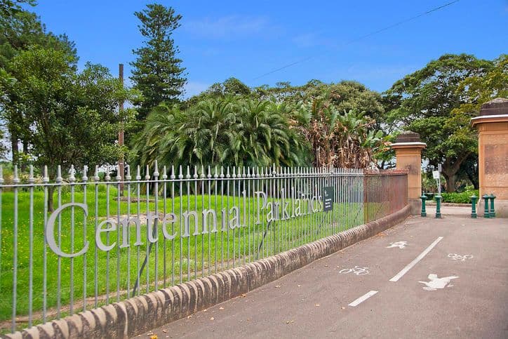 1 Tay Street, KENSINGTON NSW 2033, Kensington - Thumbnail 4