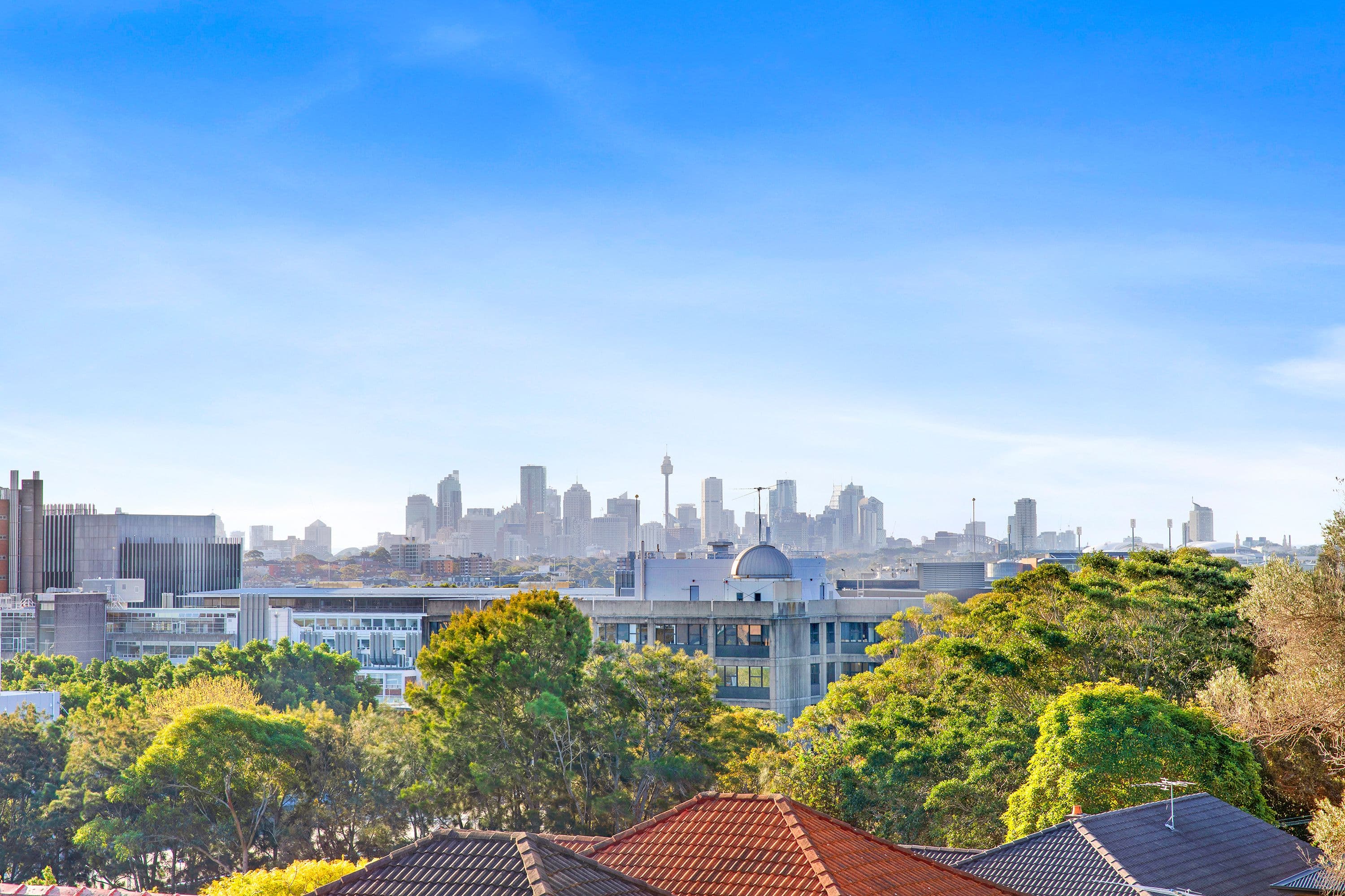 2 Kennedy Lane, Kingsford NSW 2032, Kingsford - Thumbnail 6