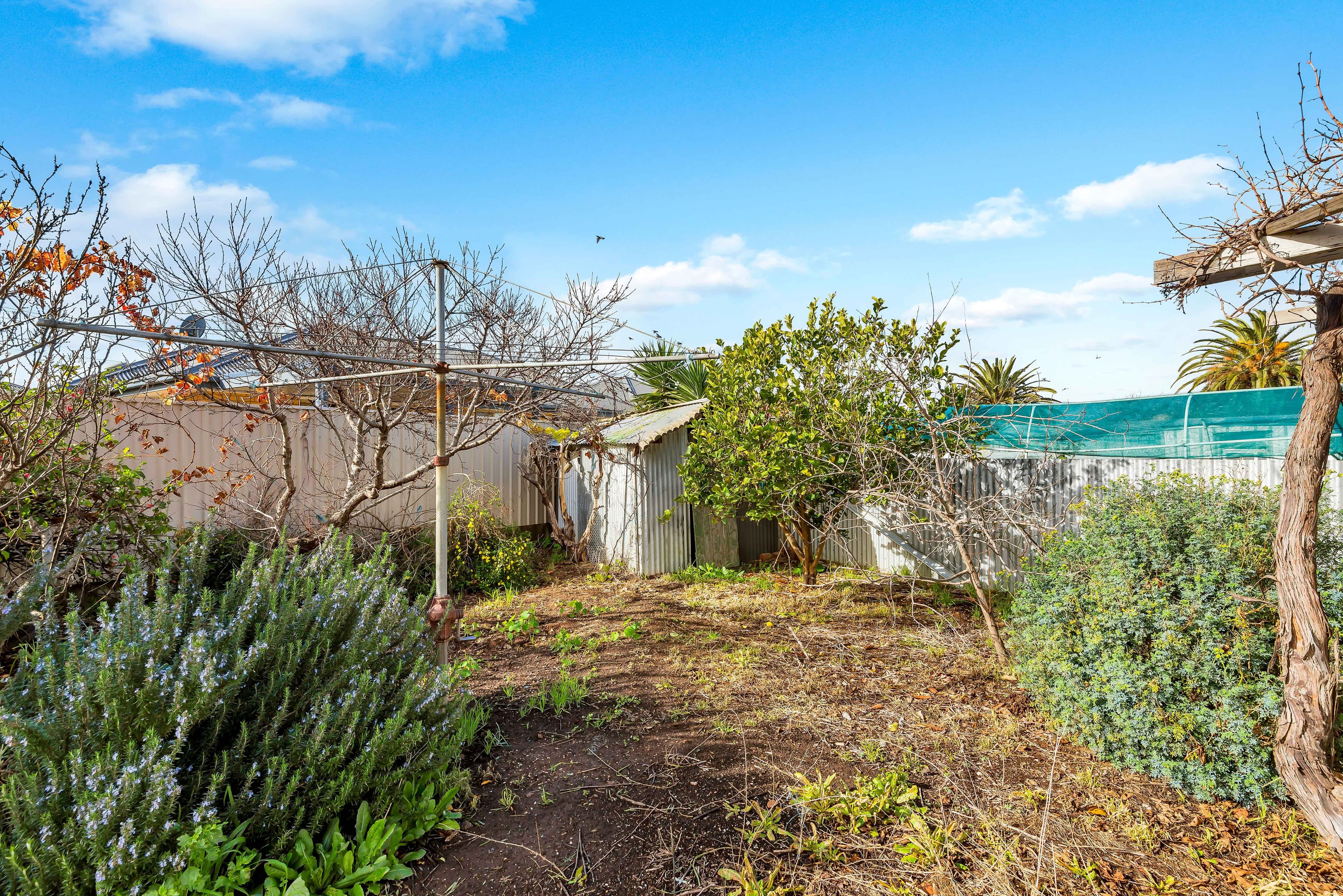 76 Hammond Road, Findon SA 5023, Findon - Thumbnail 8