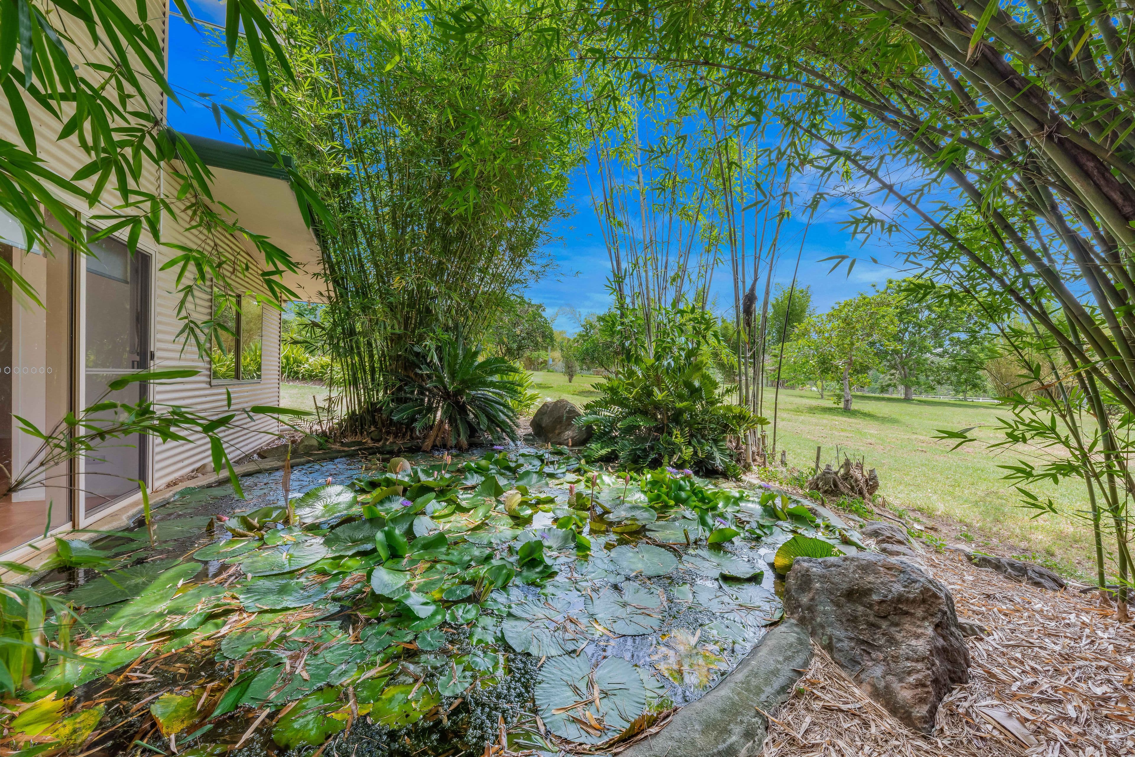 534 Sugarloaf Road, Riordanvale QLD 4800, Riordanvale - Thumbnail 6