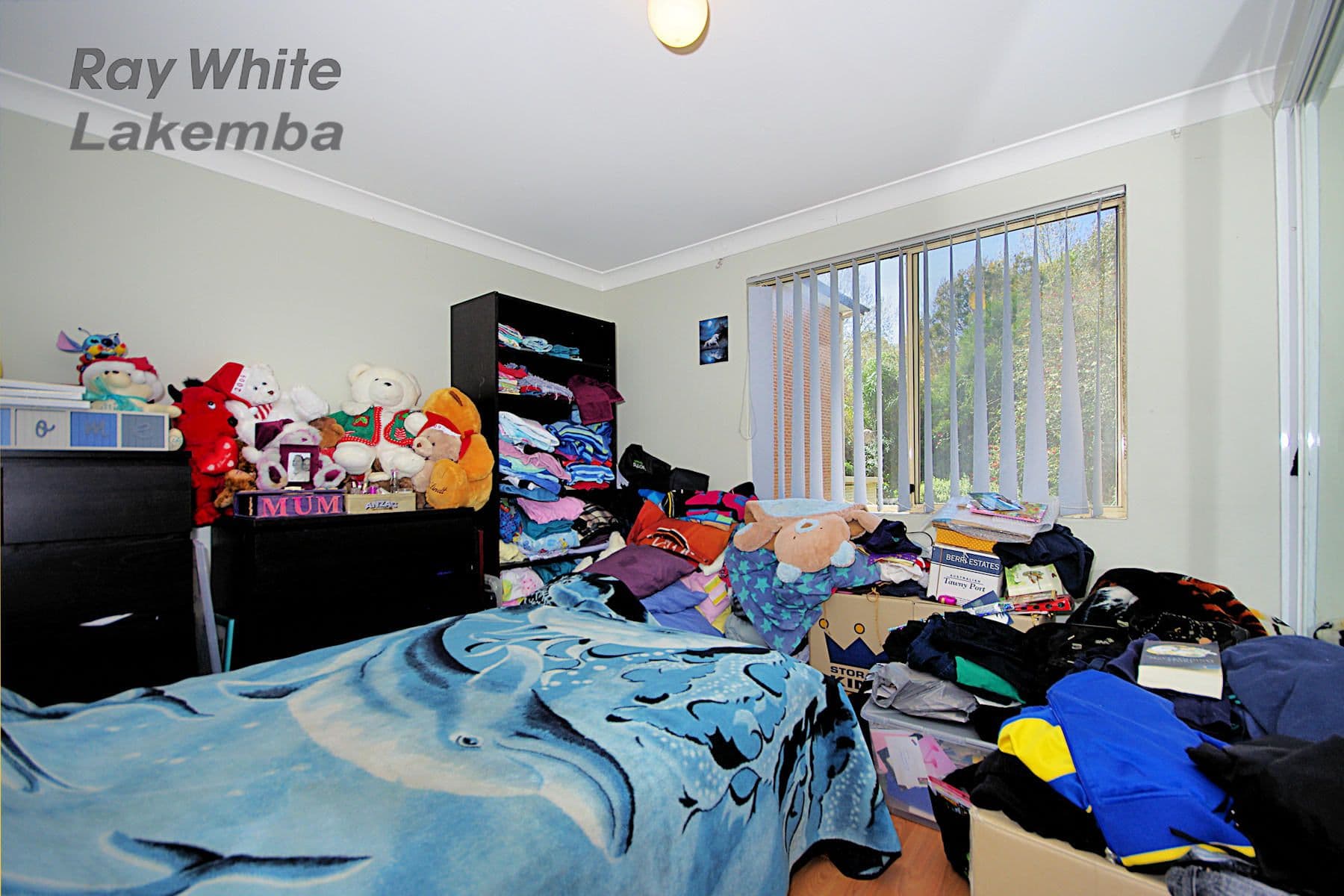 3 Hill Street, Marrickville NSW 2204, Marrickville - Thumbnail 6