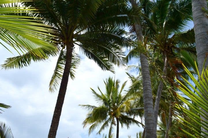 24 Reid Road, Wongaling Beach QLD 4852, Wongaling Beach - Thumbnail 7