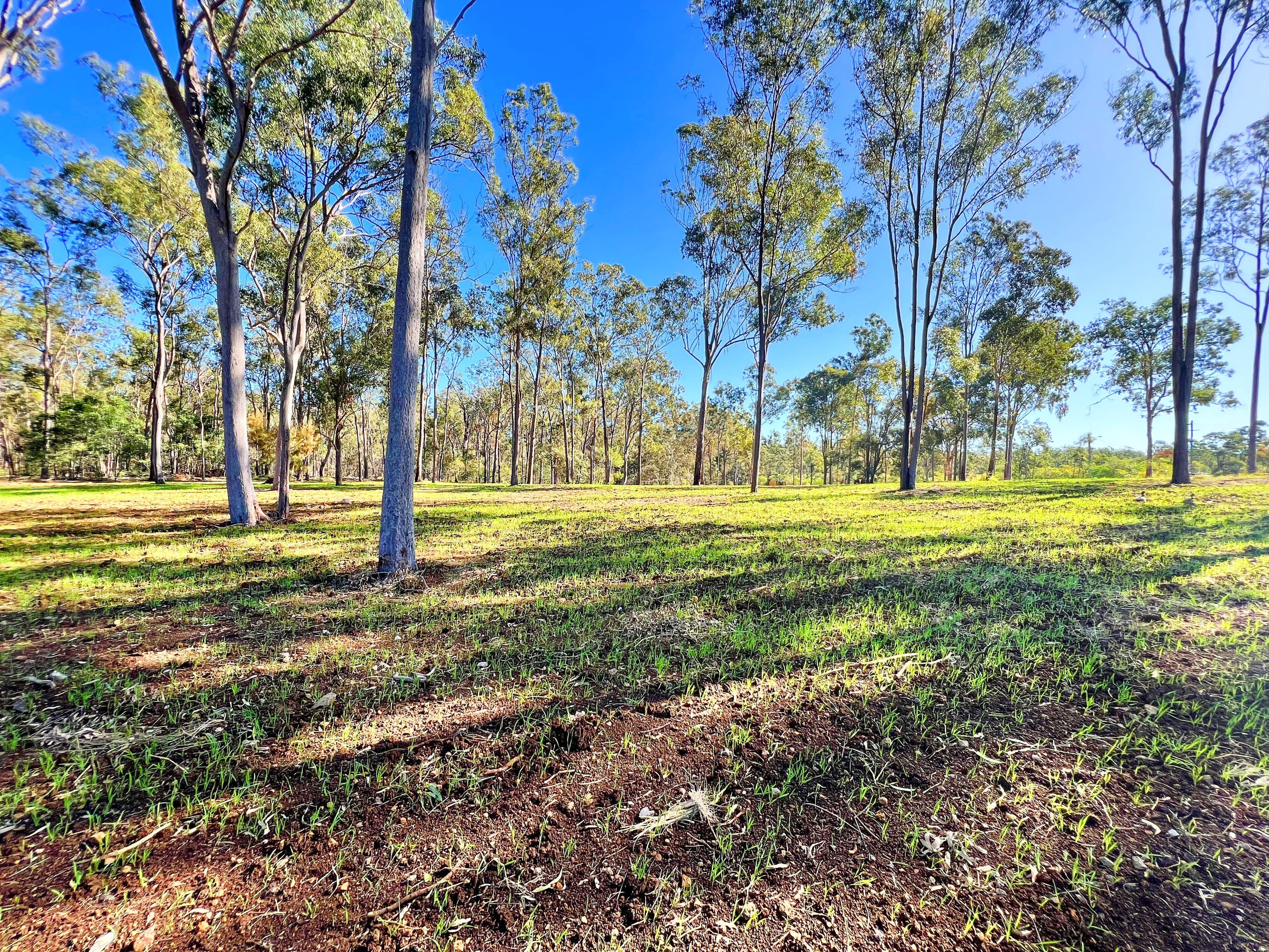 61 Breen Court, McIlwraith QLD 4671, McIlwraith - Image 1