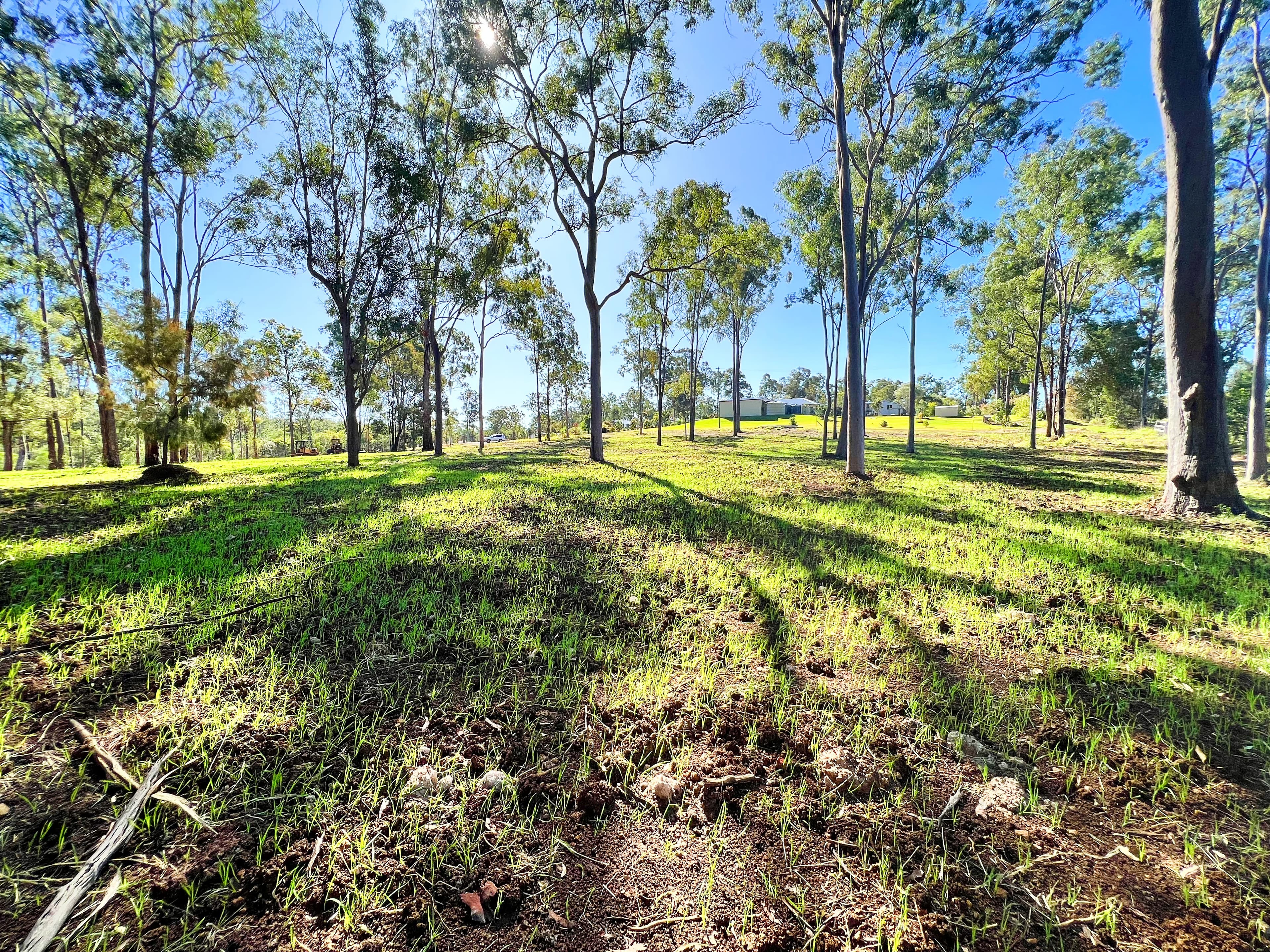 61 Breen Court, McIlwraith QLD 4671, McIlwraith - Thumbnail 2