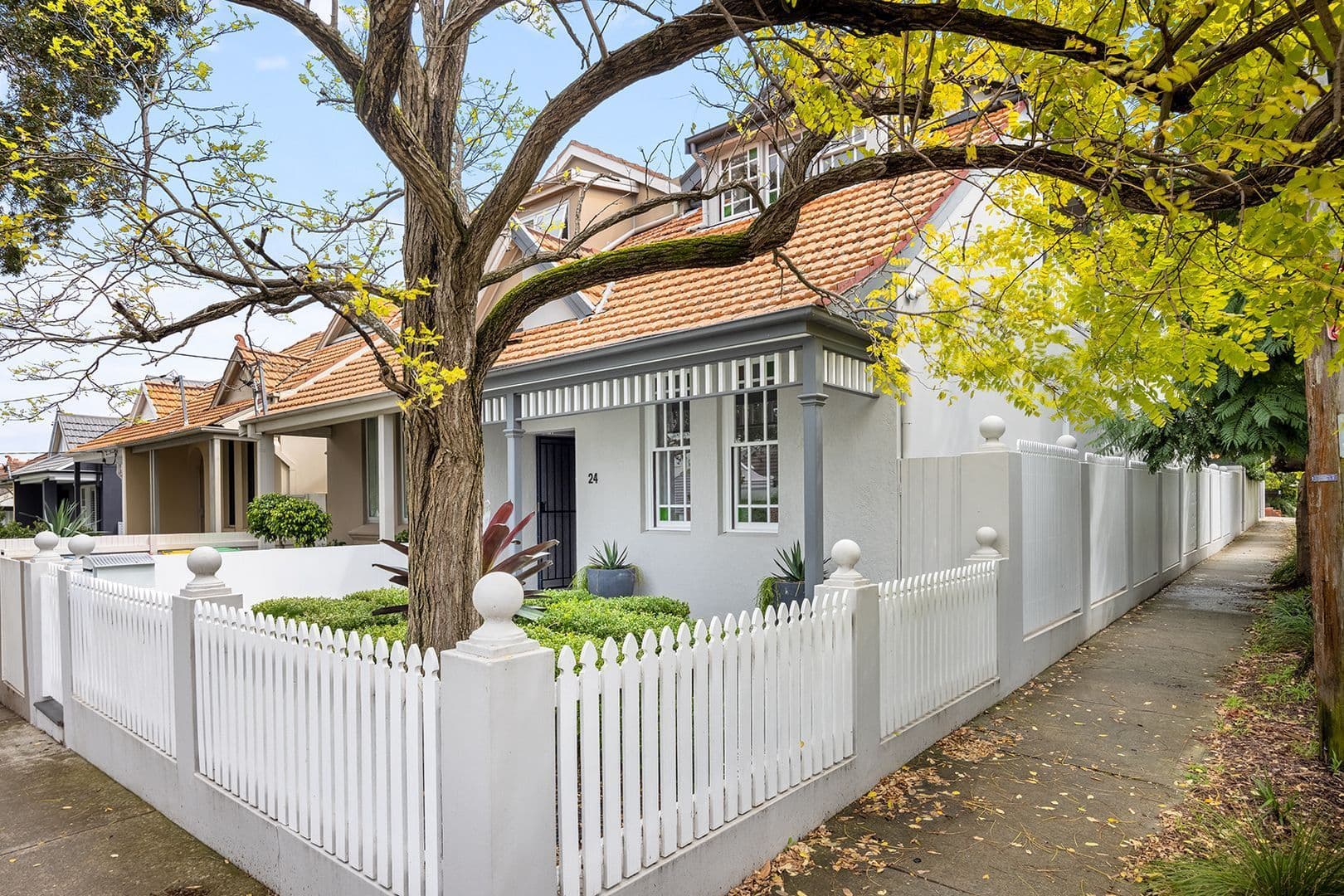 24 Evans Street, Bronte NSW 2024, Bronte - Thumbnail 8