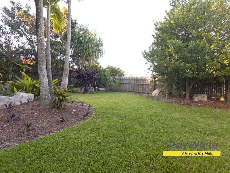 12 Amethyst Street, ALEXANDRA HILLS QLD 4161, Alexandra Hills - Thumbnail 8