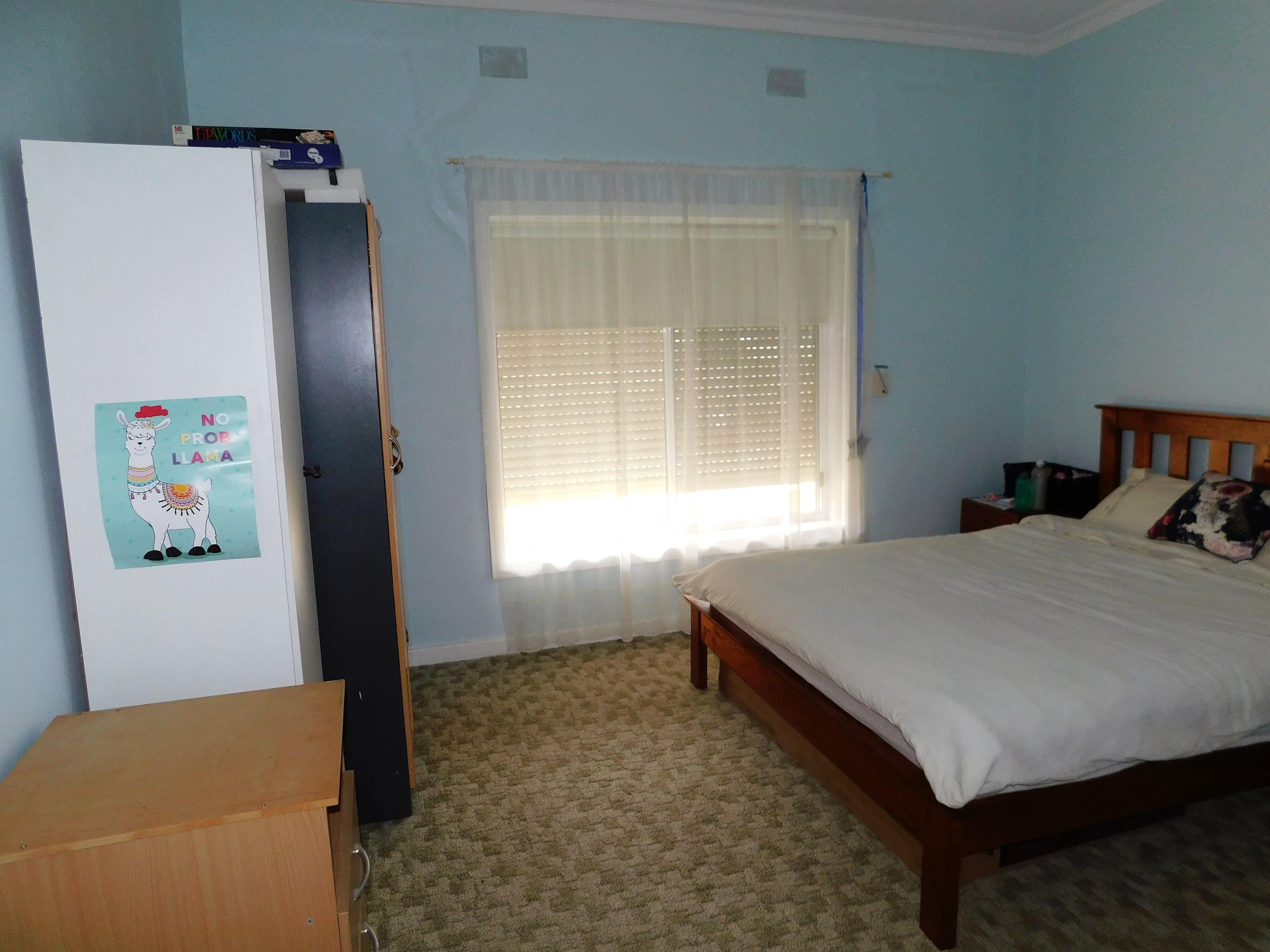 33 Cannawigara Road, Bordertown SA 5268, Bordertown - Thumbnail 7