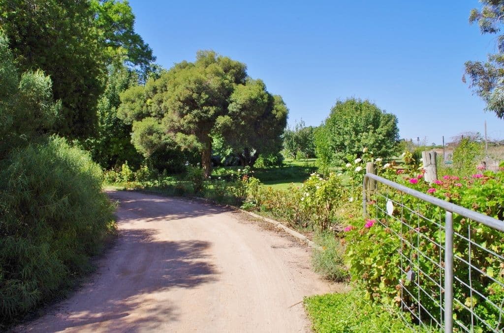 85 Cucumunga Street, Renmark SA 5341, Renmark West - Thumbnail 2