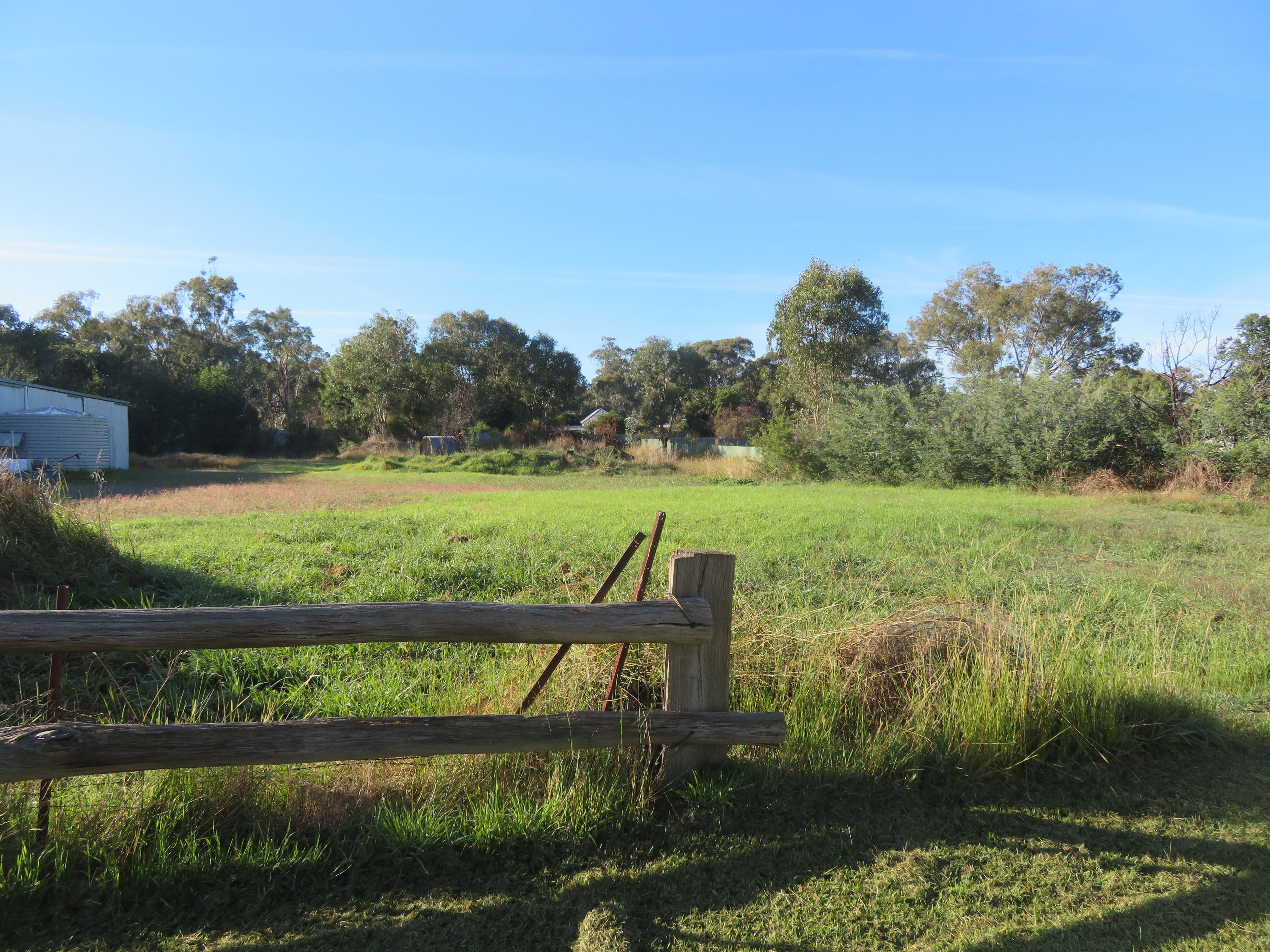 5 Sydney Street, Tarcutta NSW 2652, Tarcutta - Thumbnail 5