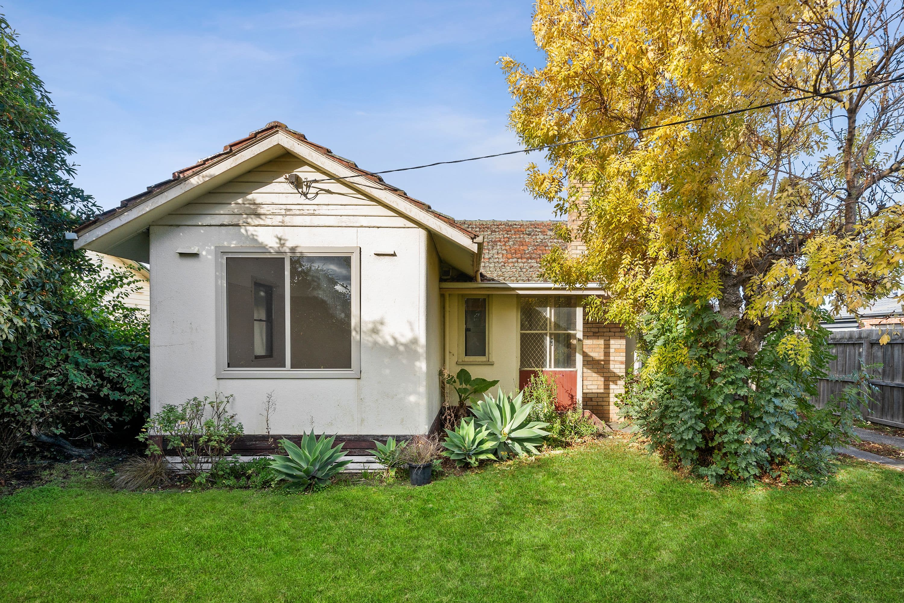 10 Tallis Street, Norlane VIC 3214, Norlane - Thumbnail 3