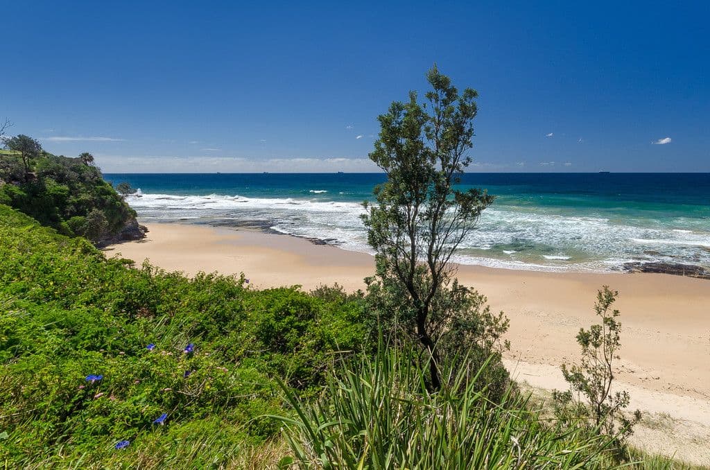2 Jones Lane, THIRROUL NSW 2515, Thirroul - Thumbnail 8