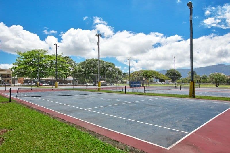 475 Trembath Drive, Gordonvale QLD 4865, Gordonvale - Thumbnail 3