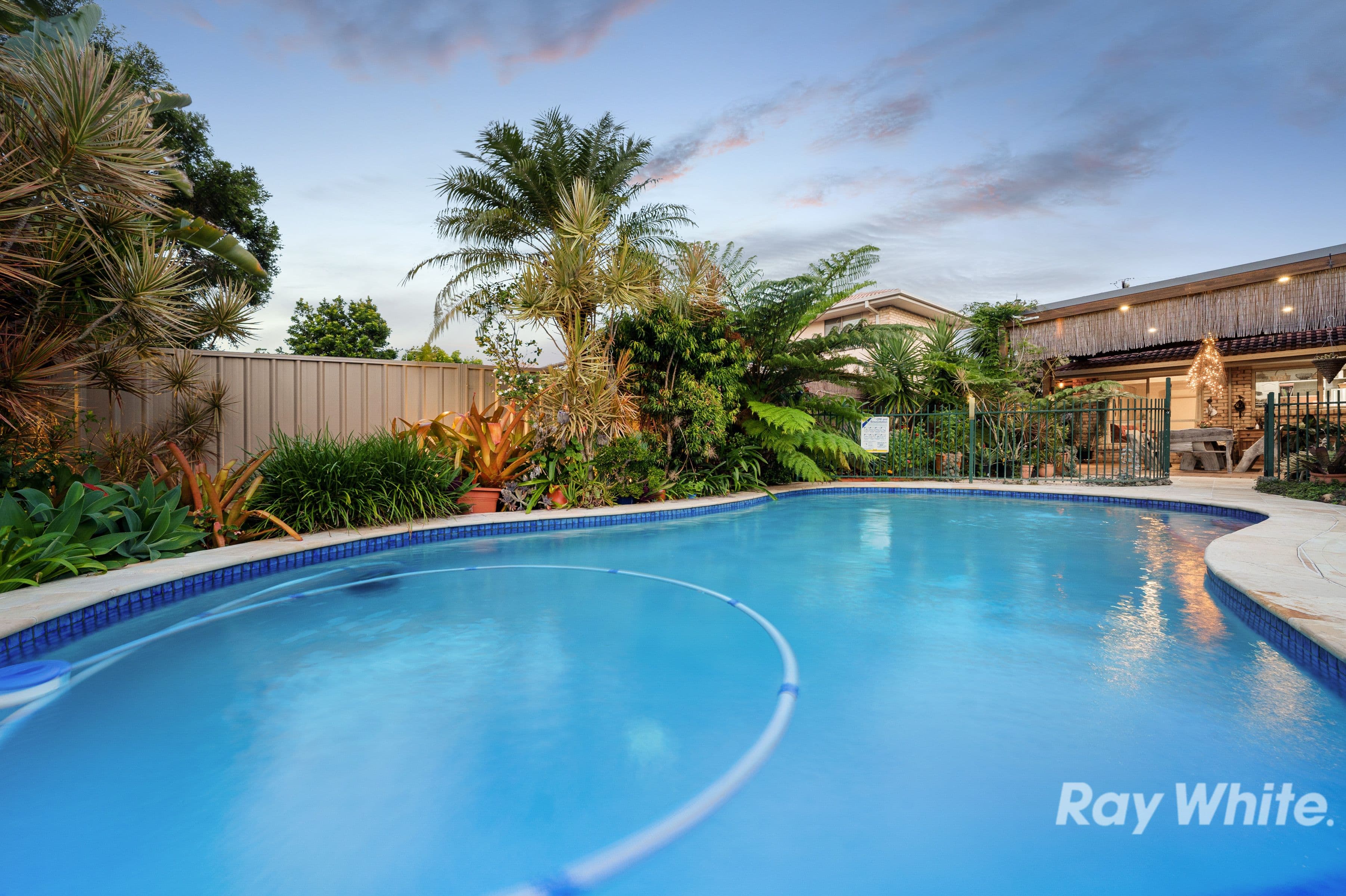 8 Lilygreen Court, Springwood QLD 4127, Springwood - Thumbnail 4