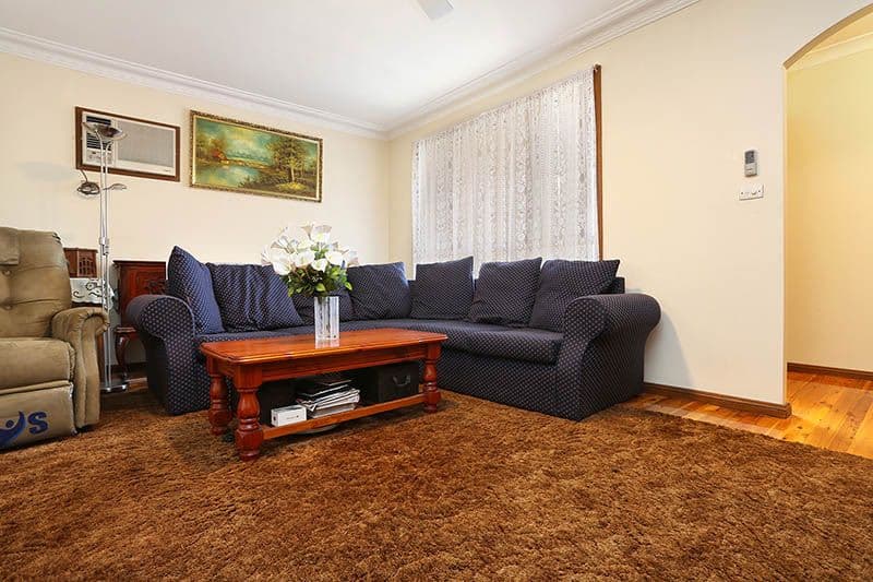 16 Premier Street, Canley Vale NSW 2166, Canley Vale - Thumbnail 4