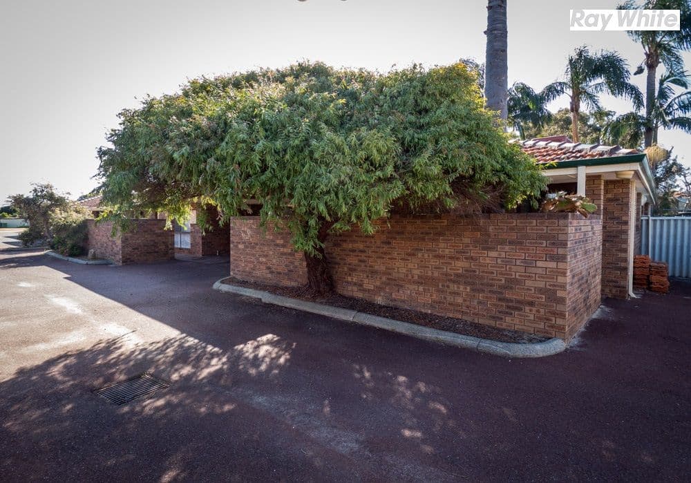 41 Dealy Close, Cannington WA 6107, Cannington - Thumbnail 2