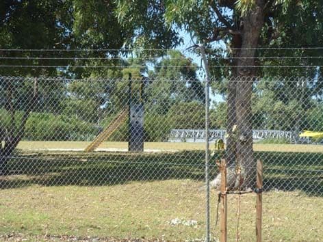 35 Maitland Road, BALGA WA 6061, Balga - Thumbnail 4