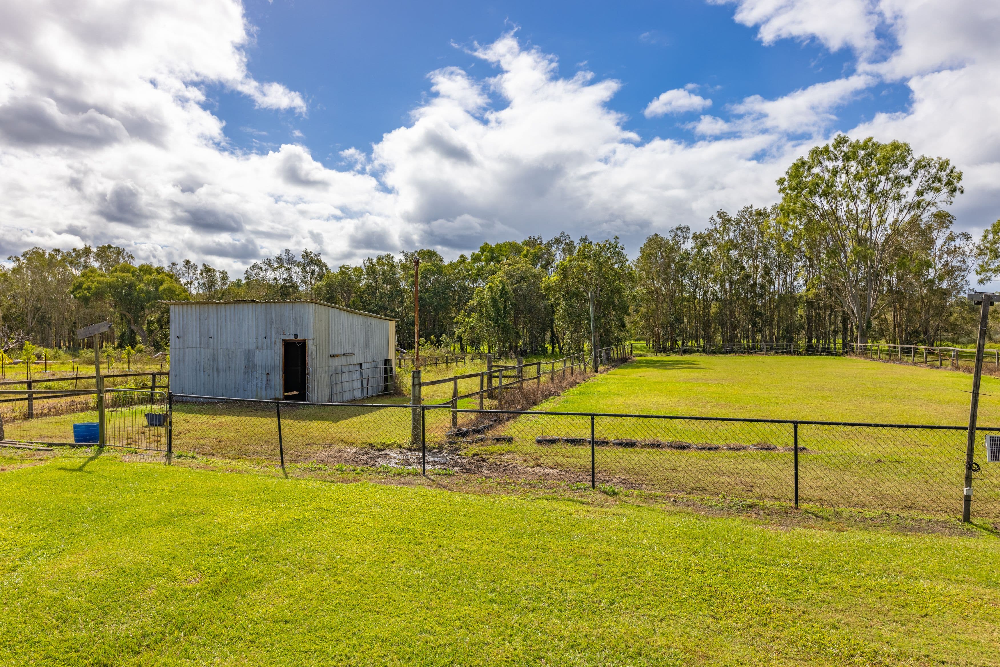 80 Male Road, Caboolture QLD 4510, Caboolture - Thumbnail 7