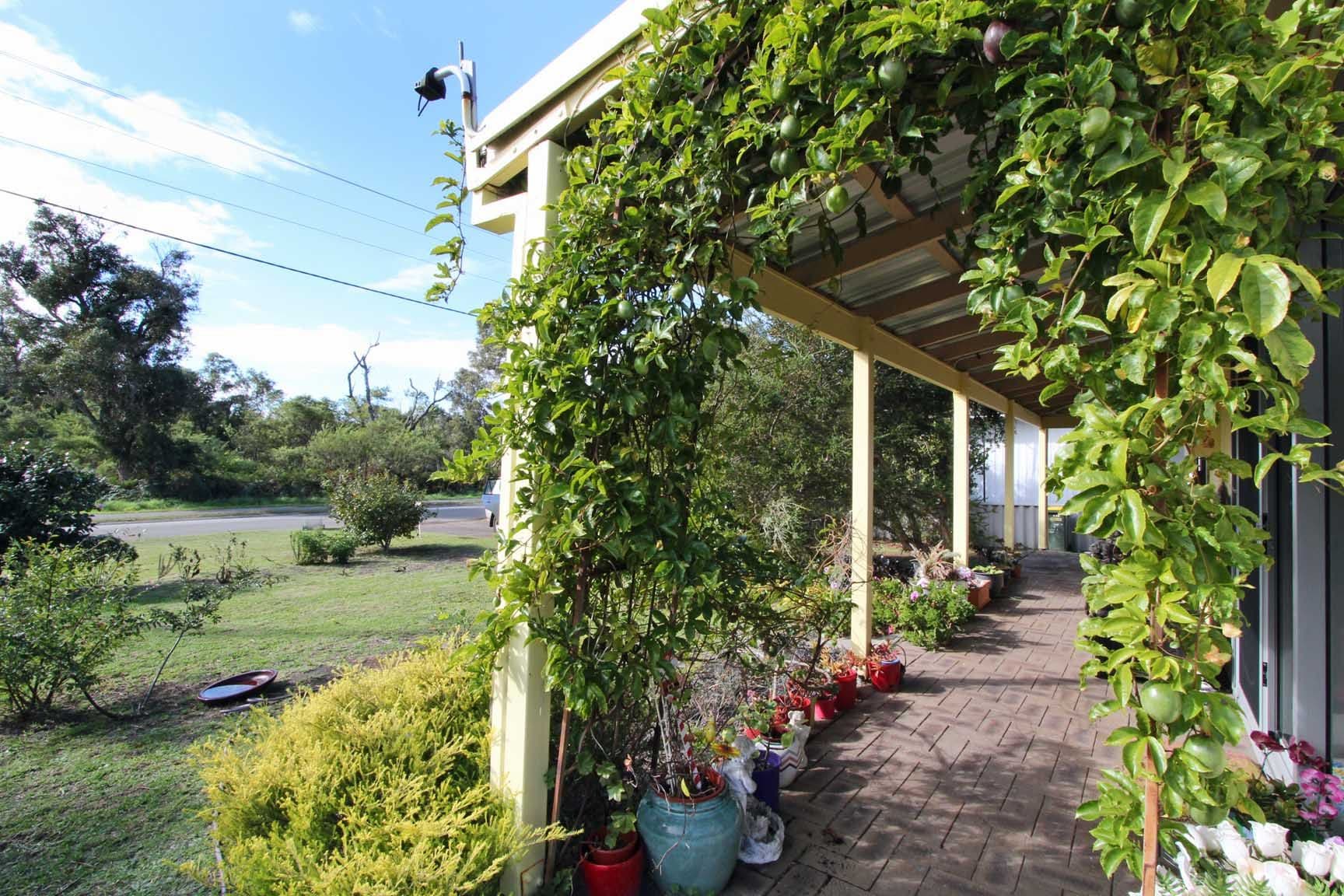 46A Brazier Street, Denmark WA 6333, Denmark - Thumbnail 3