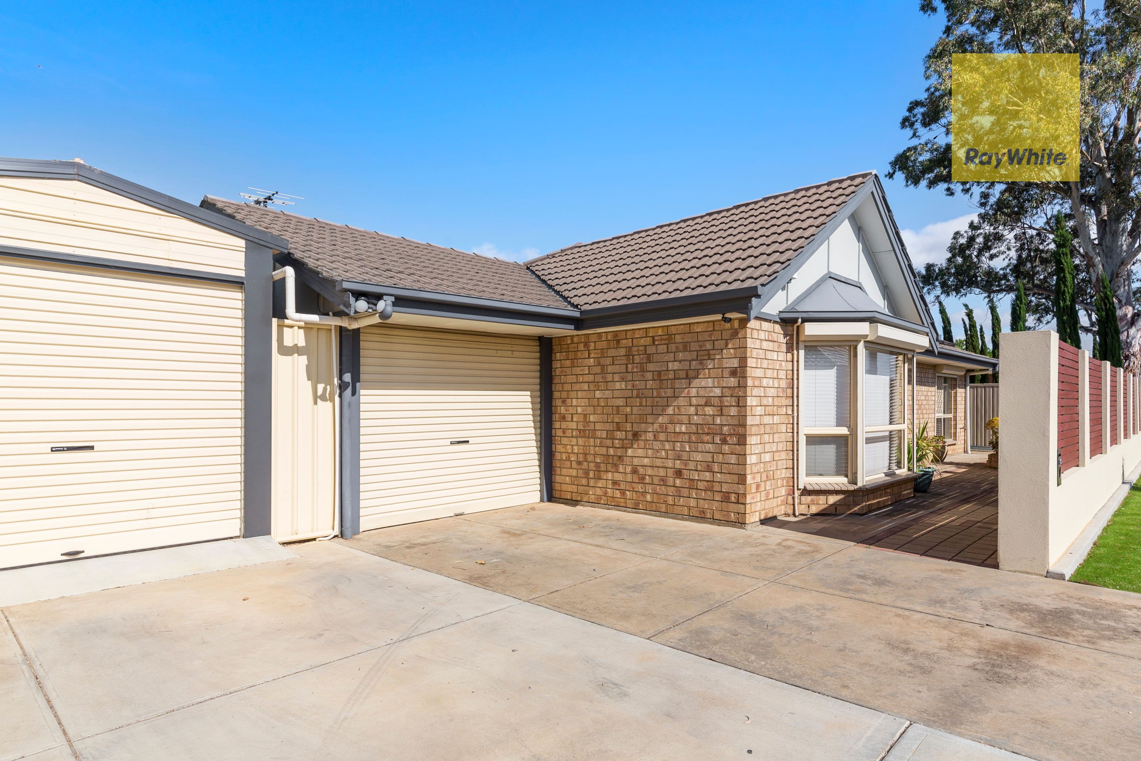 10 Robert Street, Edwardstown SA 5039, Edwardstown - Image 1