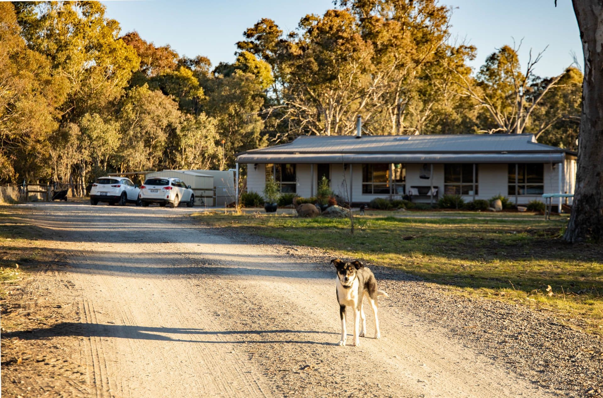 10 Kinsman Drive, Murrumbateman - Image 1