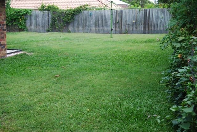 88 Ibis Circuit, FOREST LAKE QLD 4078, Forest Lake - Thumbnail 3