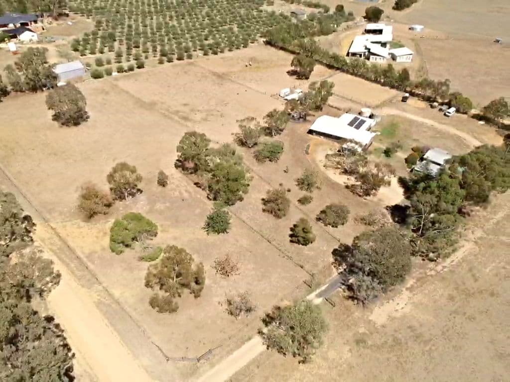 90 Saines Road, Young NSW 2594, Young - Thumbnail 2