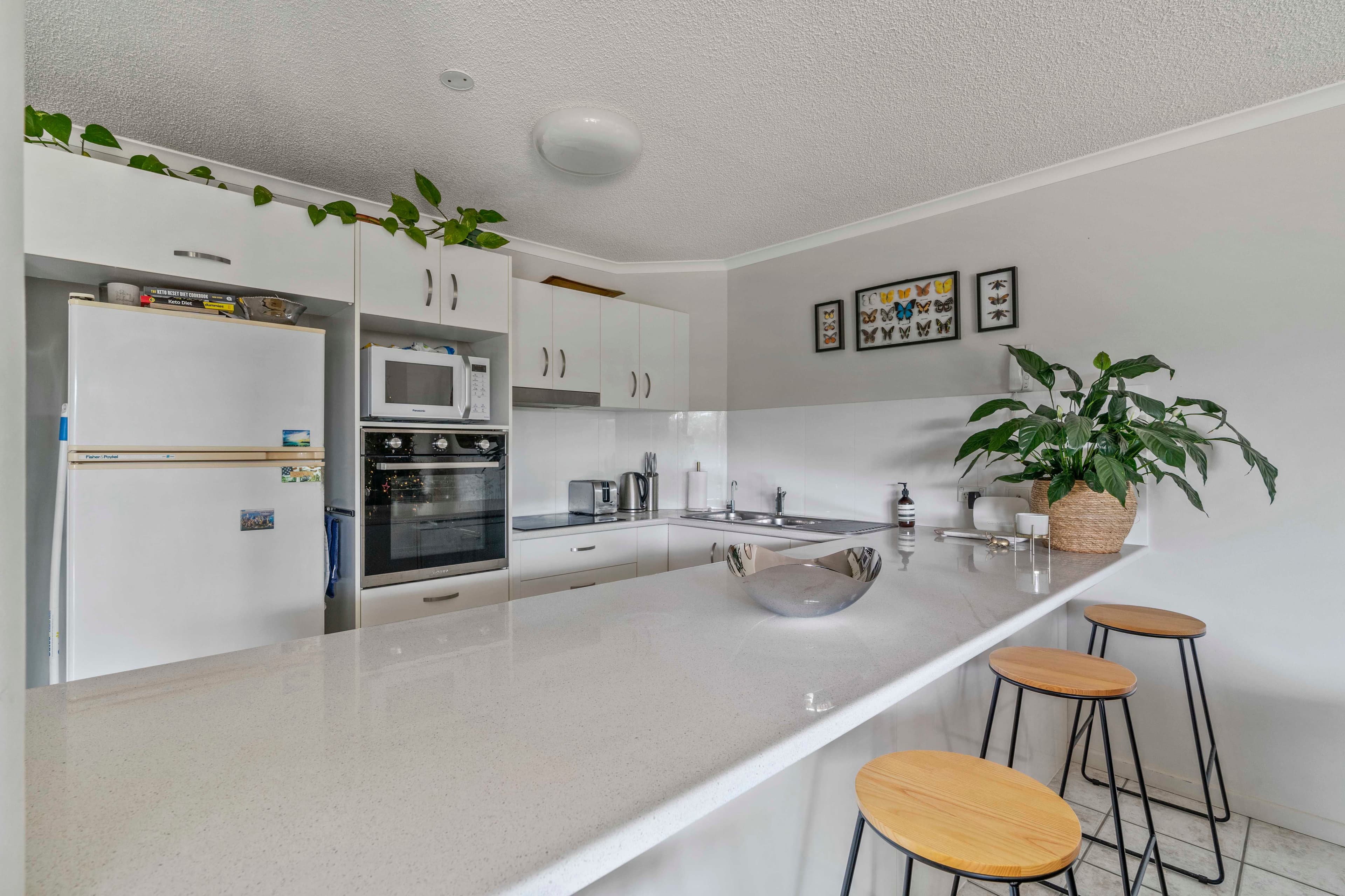 147 Lowanna Drive, Buddina QLD 4575, Buddina - Image 1