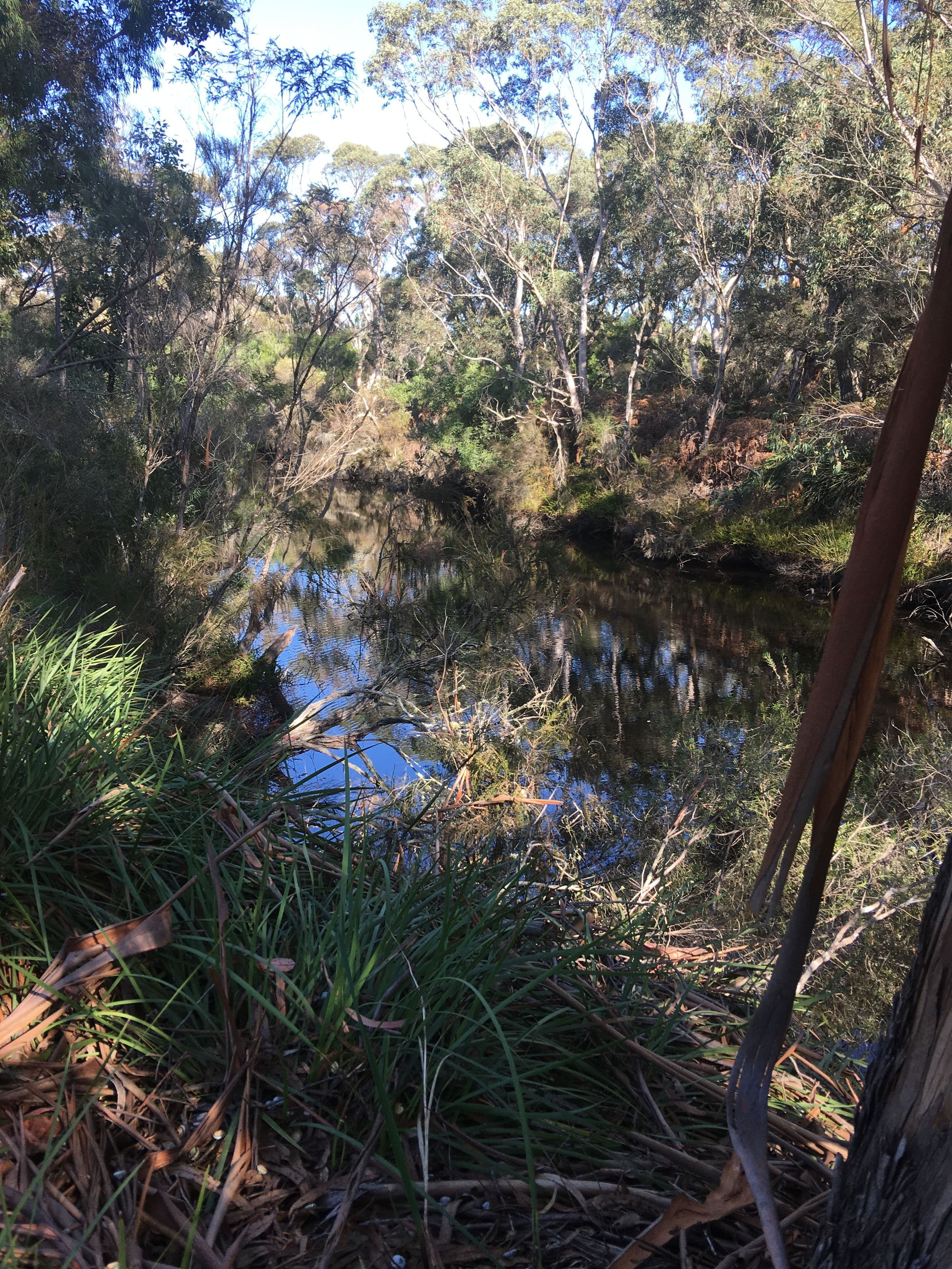 37 Brook Street, Elleker WA 6330, Elleker - Thumbnail 6