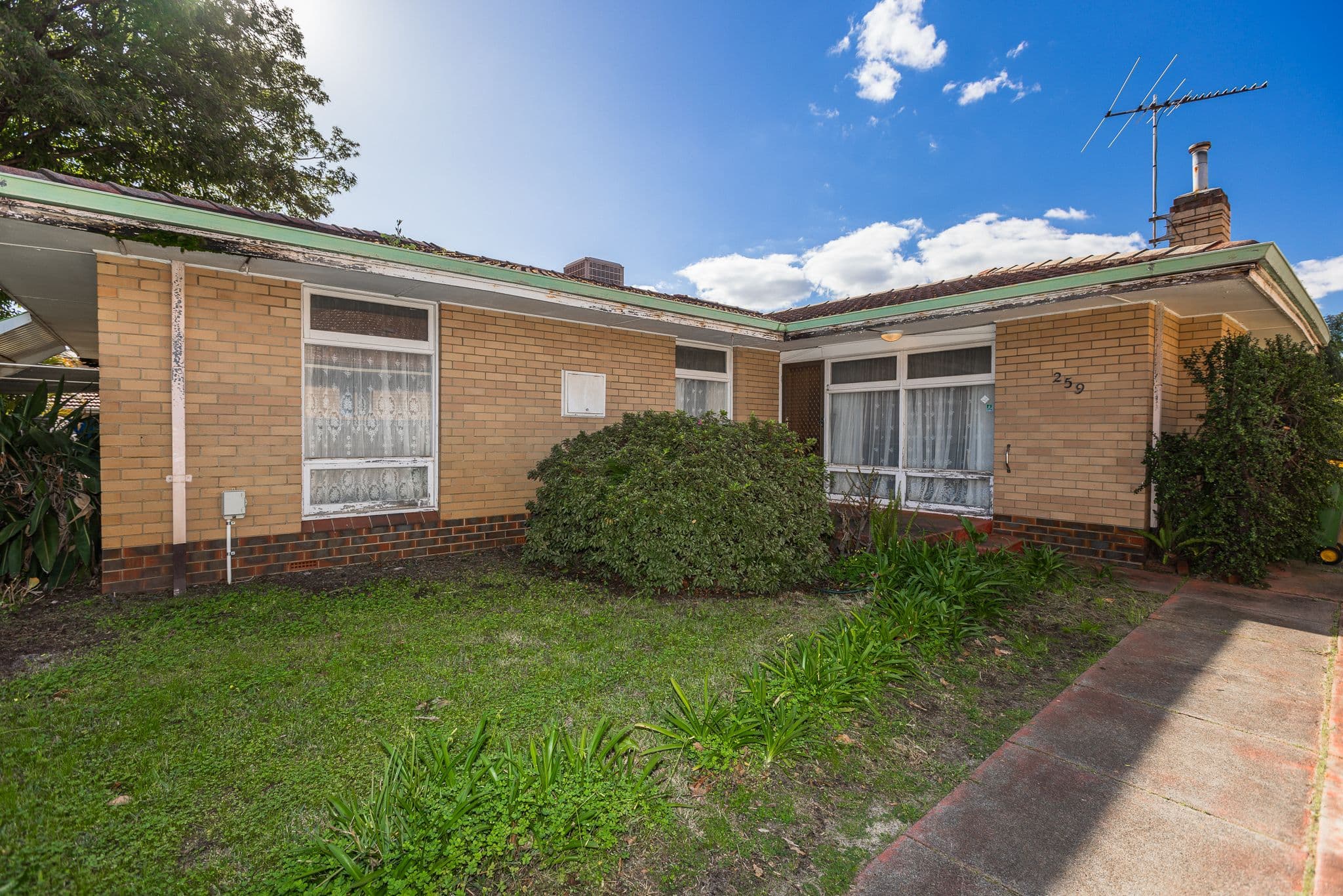 259 Kooyong Road, Kewdale WA 6105, Kewdale - Thumbnail 3