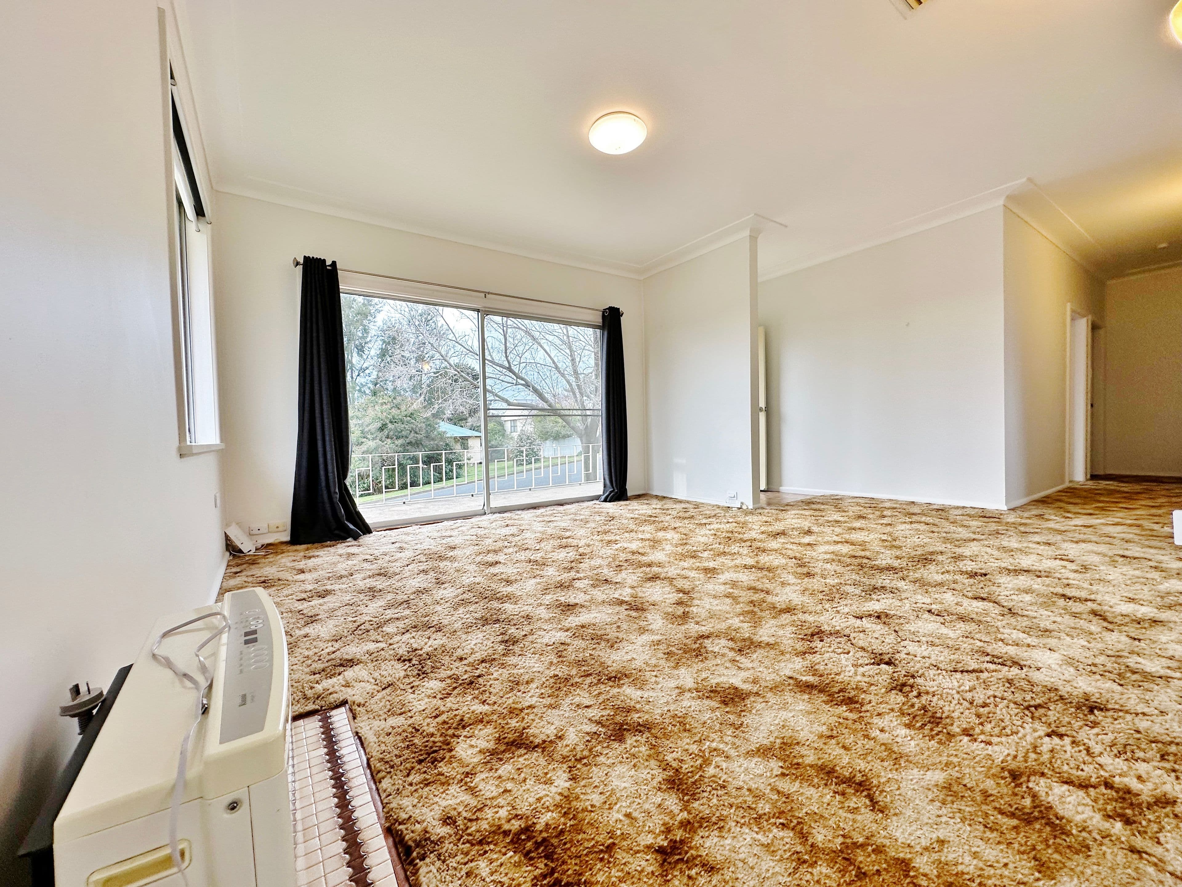 1 Milong Street, Young NSW 2594, Young - Thumbnail 6