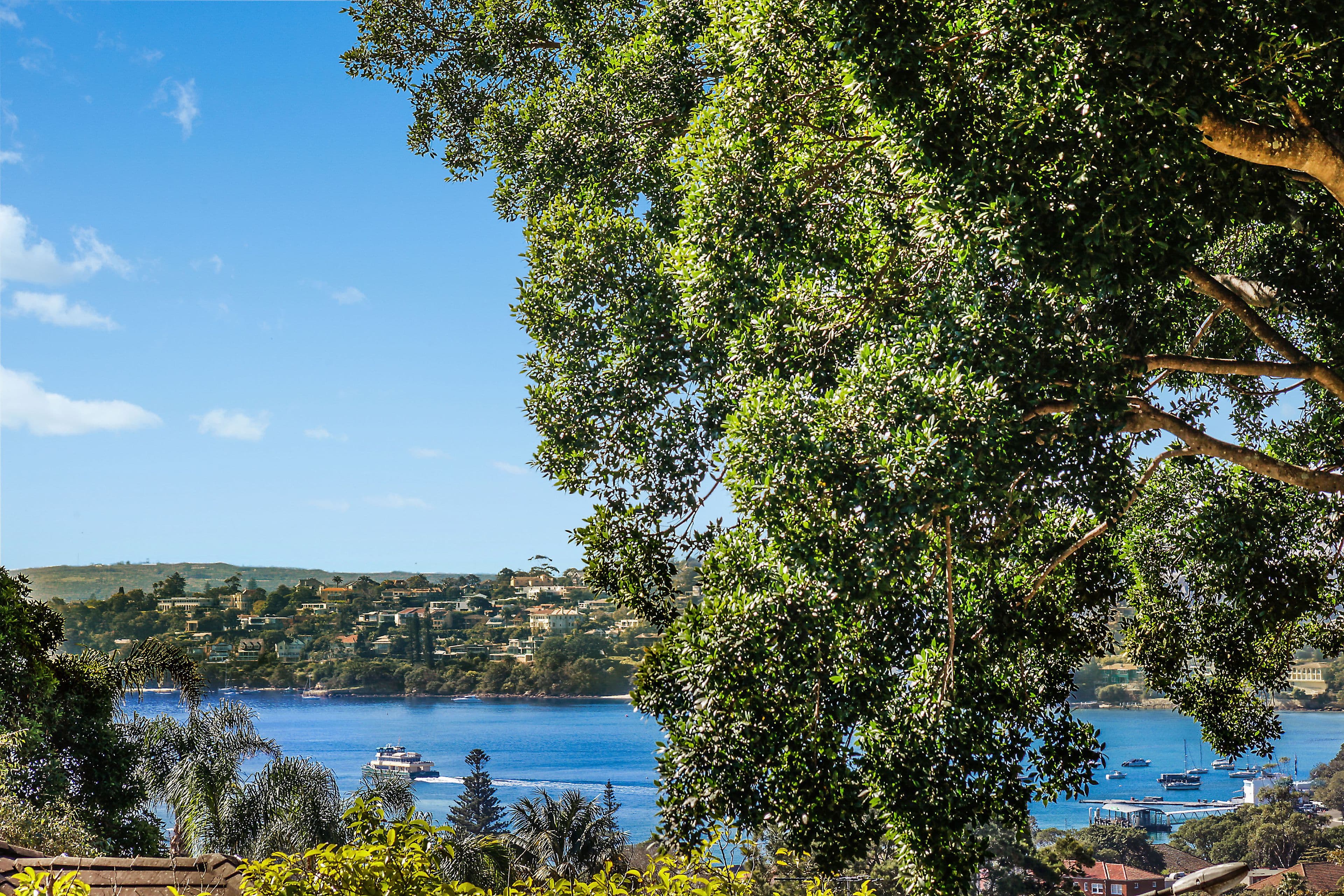 9 Carrington Avenue, Bellevue Hill NSW 2023, Bellevue Hill - Thumbnail 6