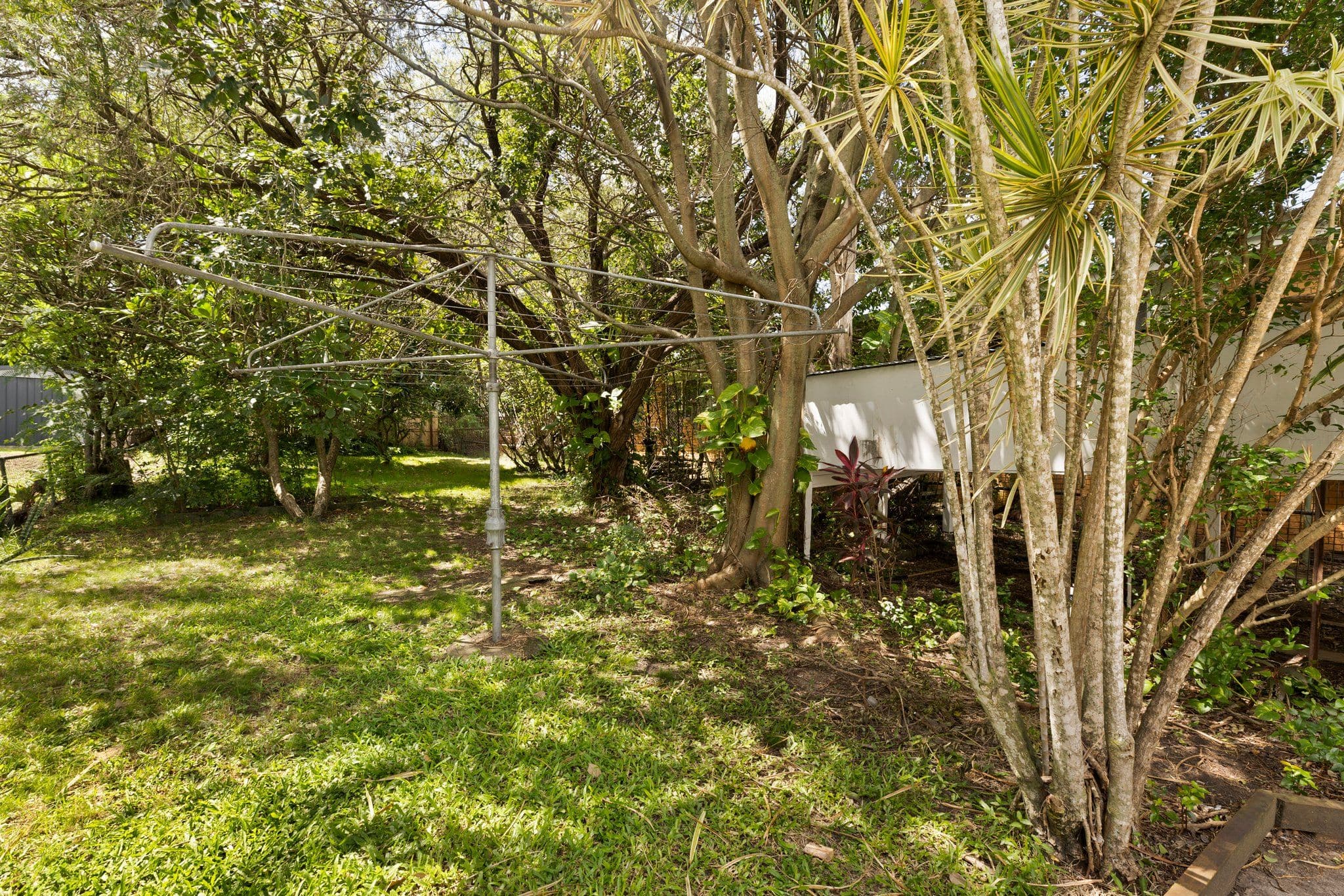 17 Julia Street, Wavell Heights QLD 4012, Wavell Heights - Thumbnail 8