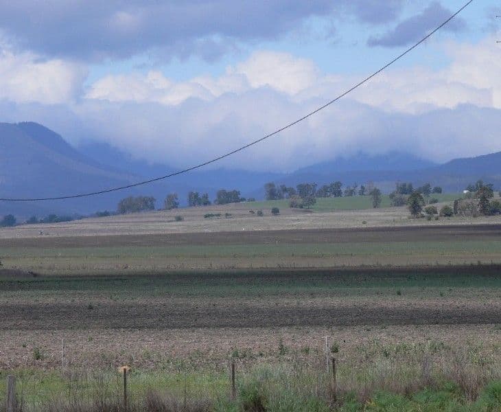 16 Old Emuvale Road, YANGAN QLD 4371, Yangan - Thumbnail 2