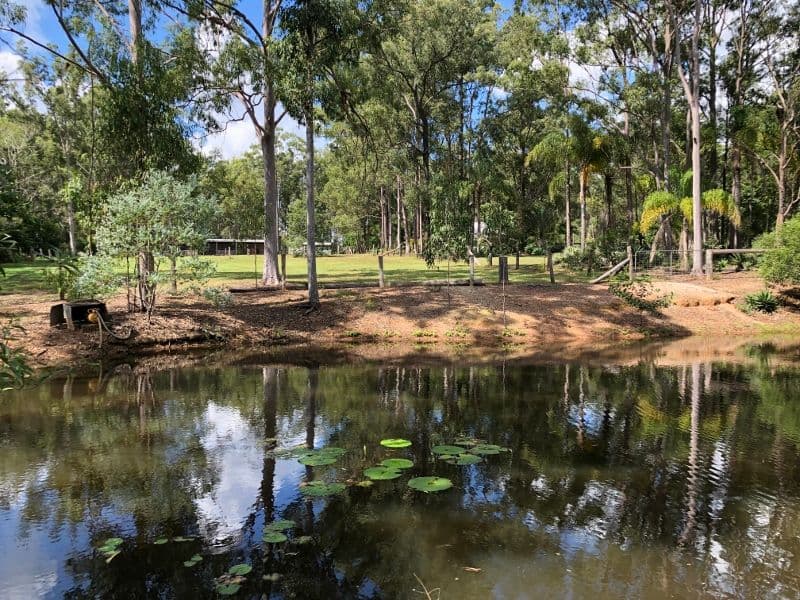 81 Springvale Road, Tinana QLD 4650, Tinana - Thumbnail 3