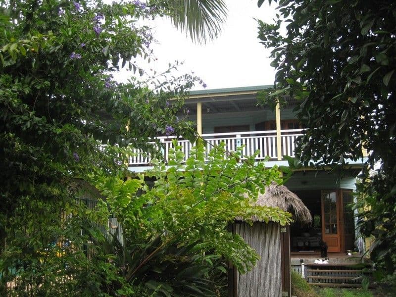 87 Welbeck Street, ALDERLEY QLD 4051, Alderley - Image 1