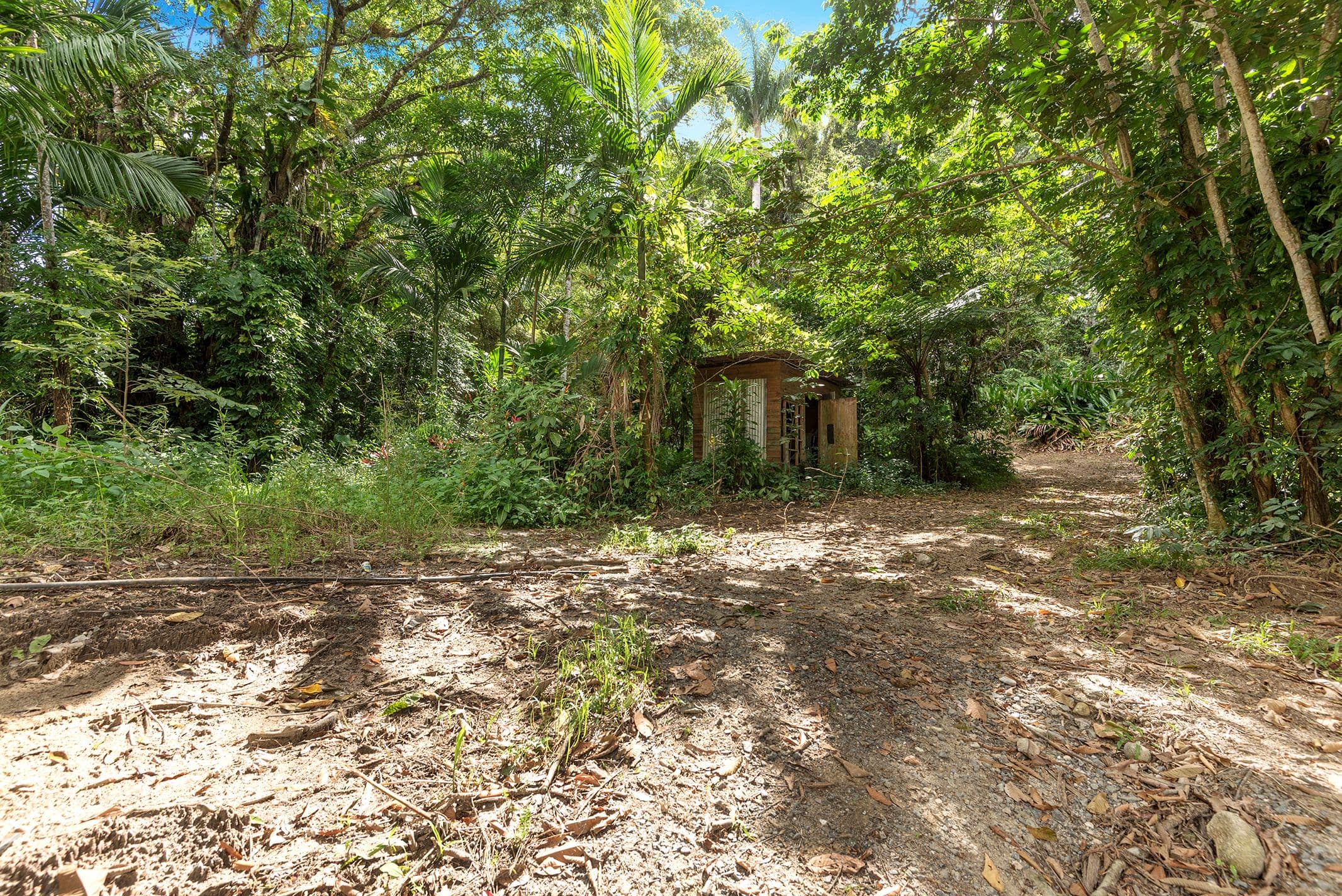 686 Whyanbeel Road, Whyanbeel QLD 4873, Whyanbeel - Thumbnail 2