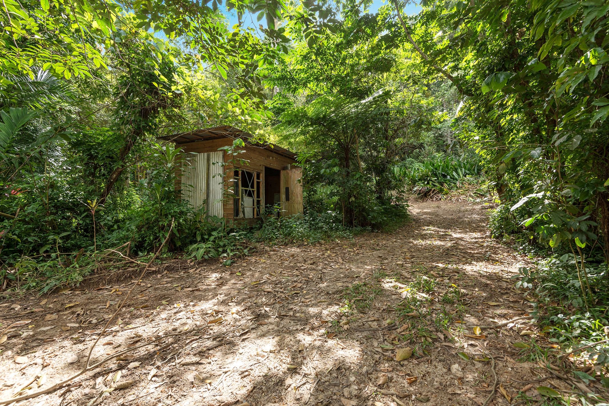686 Whyanbeel Road, Whyanbeel QLD 4873, Whyanbeel - Thumbnail 3