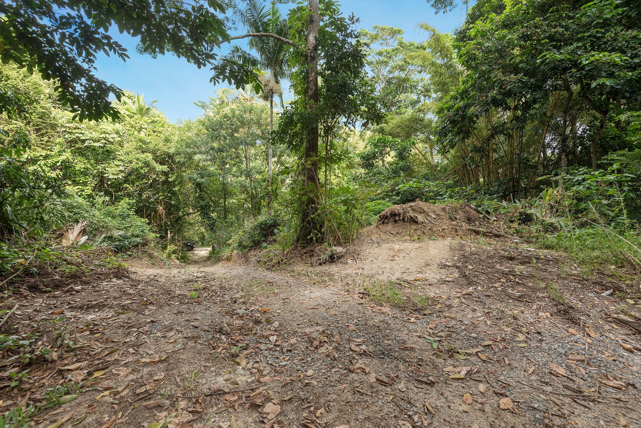 686 Whyanbeel Road, Whyanbeel QLD 4873, Whyanbeel - Thumbnail 4