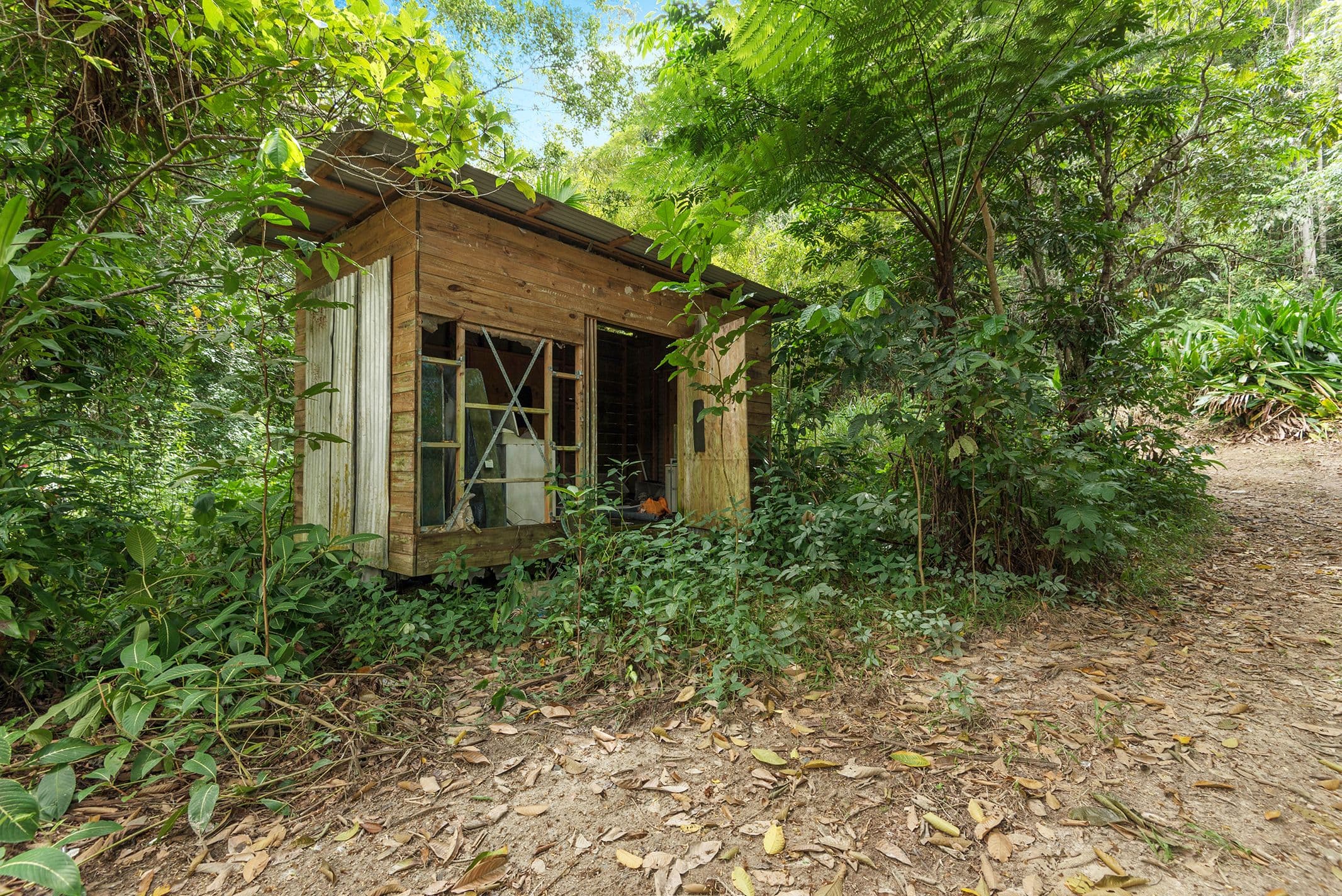 686 Whyanbeel Road, Whyanbeel QLD 4873, Whyanbeel - Thumbnail 5