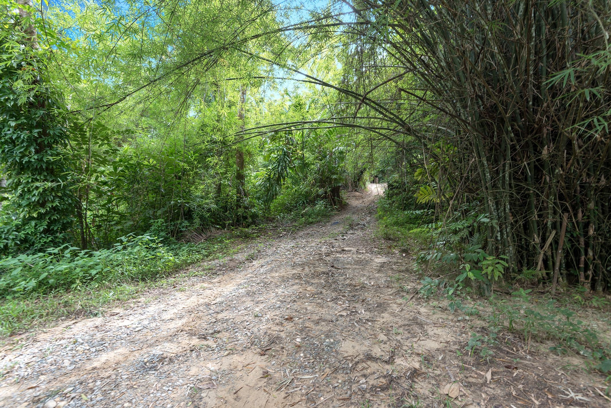 686 Whyanbeel Road, Whyanbeel QLD 4873, Whyanbeel - Thumbnail 6