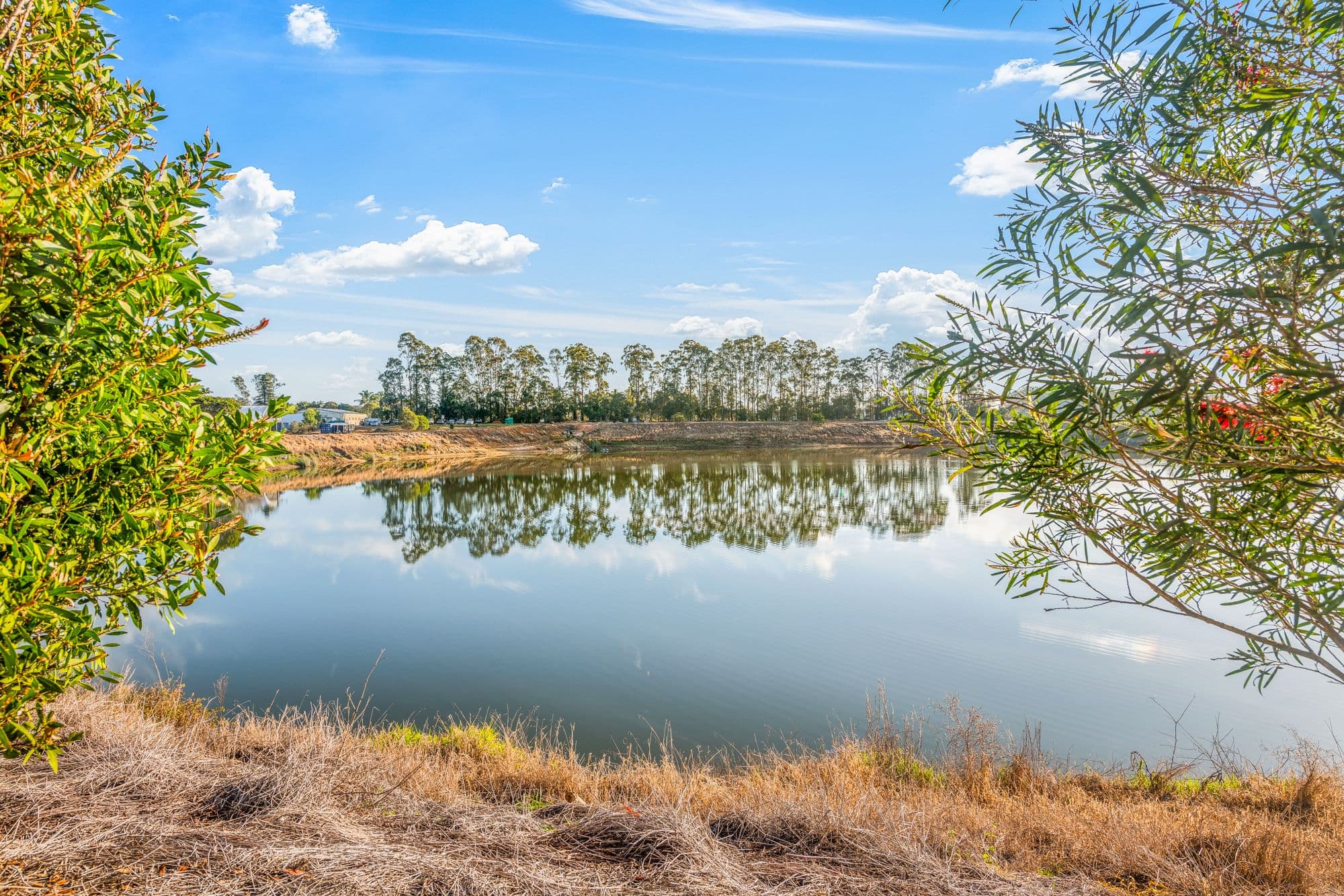 36 Wood Road, Beerwah QLD 4519, Beerwah - Thumbnail 4
