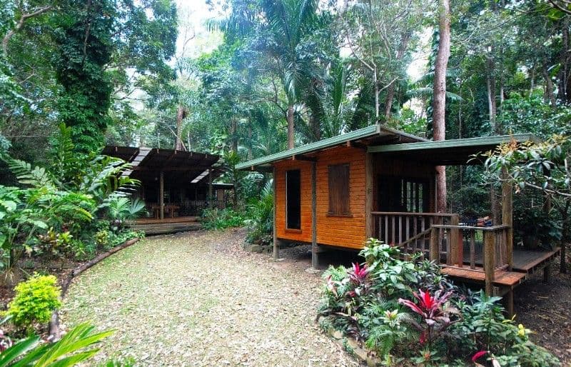 399 Myola-Oakforest Road, KURANDA QLD 4881, Kuranda - Thumbnail 8