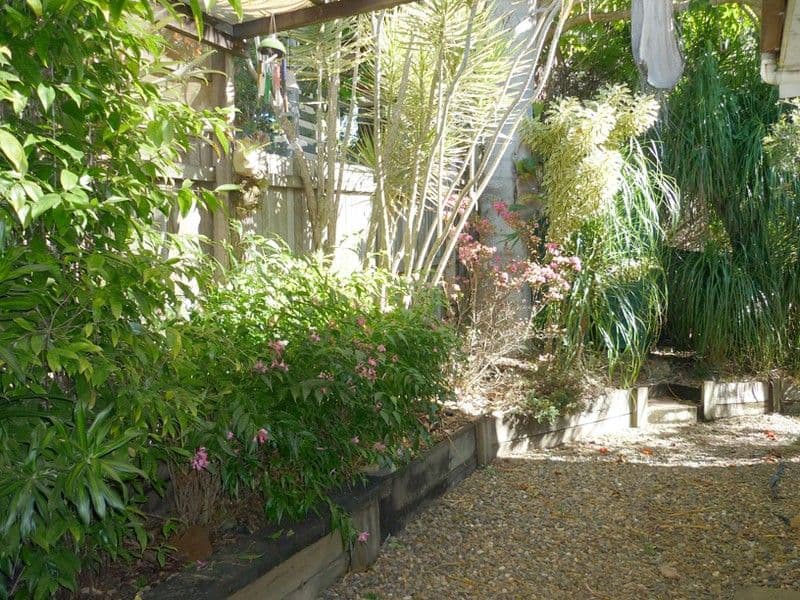 38 Kennedy Road, BLI BLI QLD 4560, Bli Bli - Thumbnail 4