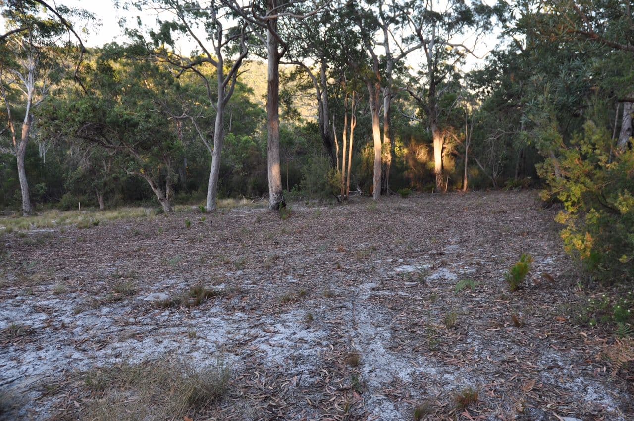 Lot 15 Eastern Forest, Fraser Island QLD 4581, Fraser Island - Thumbnail 3