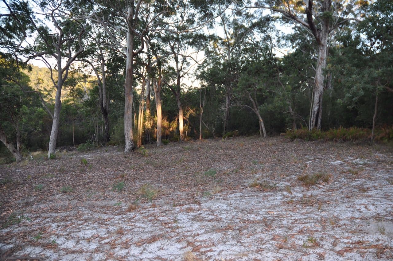 Lot 15 Eastern Forest, Fraser Island QLD 4581, Fraser Island - Thumbnail 4