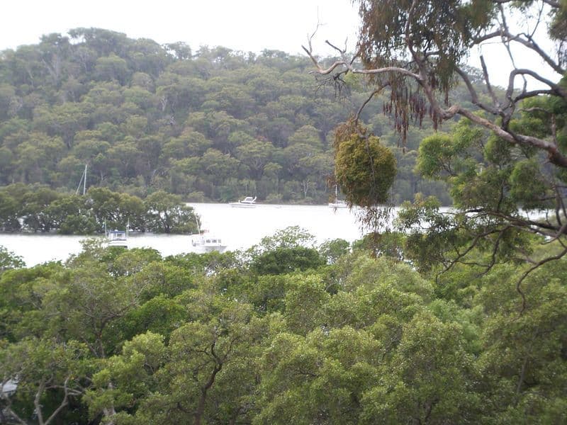 13  Keats Street, RUSSELL ISLAND QLD 4184, Russell Island - Thumbnail 2